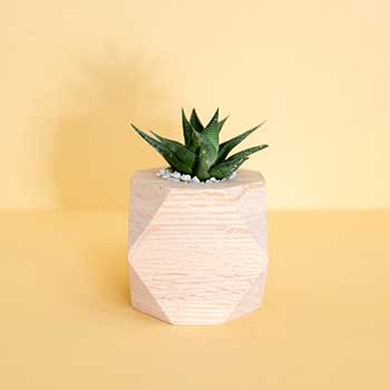 无限轰炸手机软件短信下载